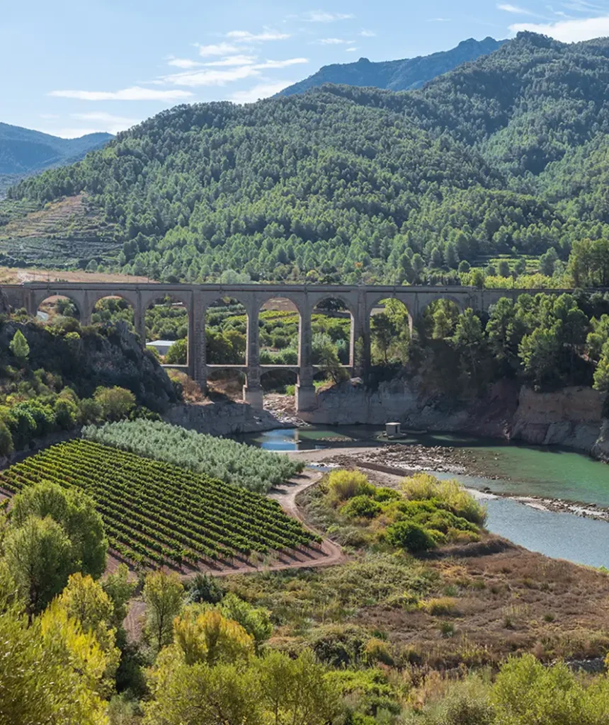 Panta dels Guiamets - Montsant